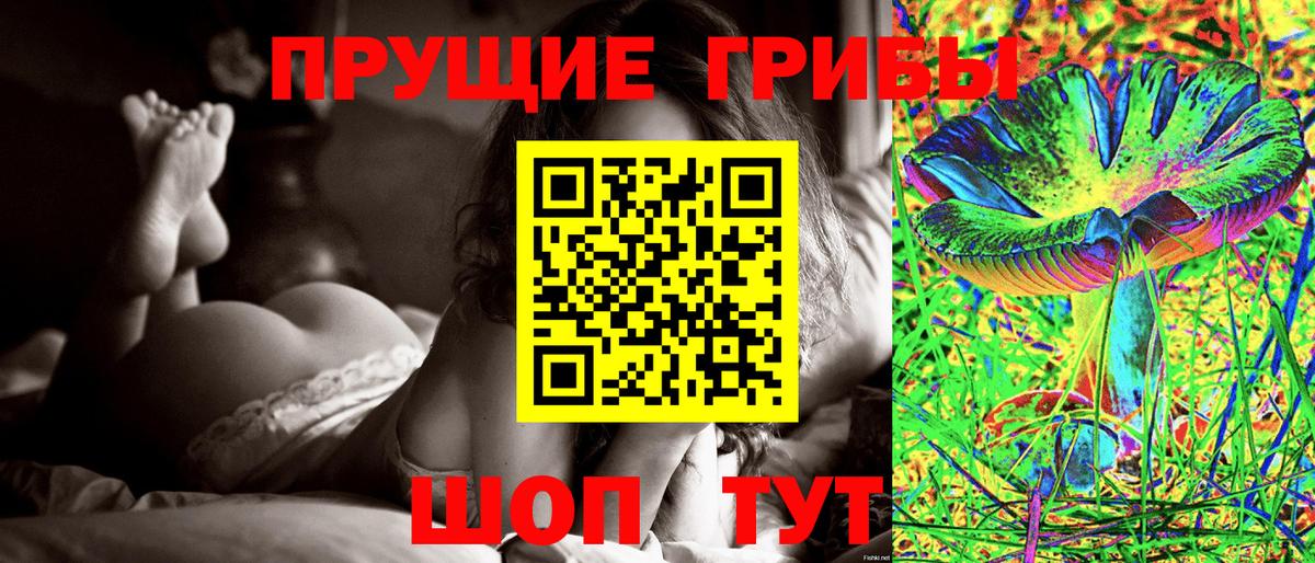 Галлюциногенные грибы Psilocybine cubensis  Вход с VPN  Йошкар-Ола 
