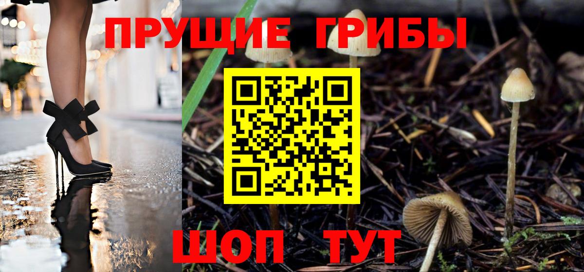 Псилоцибиновые грибы ЛСД Йошкар-Ола